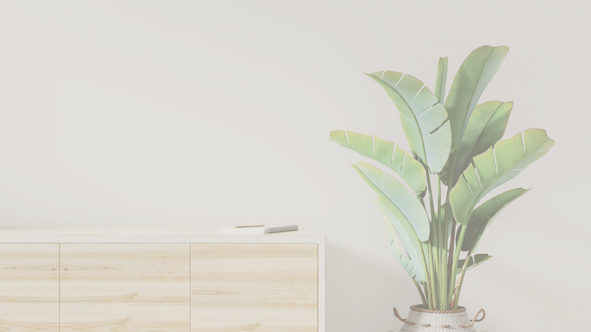 Washed-out photo of a large leafy plant next to a light wood cabinet